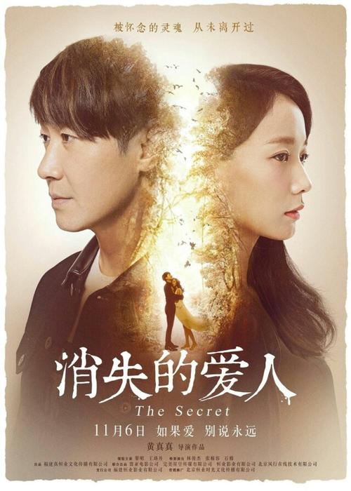 学历证书电子备案表在哪里